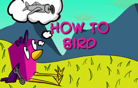 How to bird